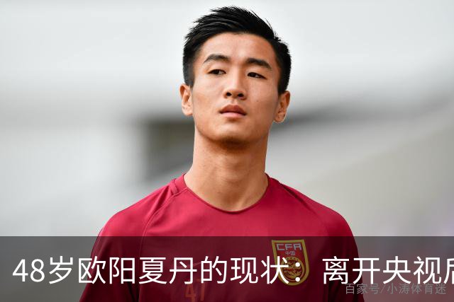 48岁欧阳夏丹的现状：离开央视后受邀参与挪威活动，至今独身未育